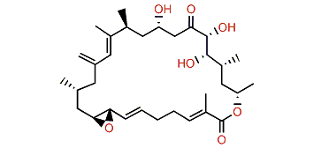 Amphidinolide B4